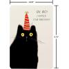 American Greetings Belated Birthday Card (I Know It’s Late)(Cat w Party Hat)