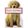 American Greetings Birthday Card (Couldn’t Ever Forget)(Couldn’t Ever Forget)