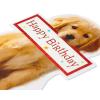 American Greetings Birthday Card (Couldn’t Ever Forget)(Couldn’t Ever Forget)