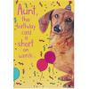 American Greetings Birthday Card for Aunt (Floral)(Multicolored)