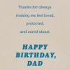 American Greetings Birthday Card for Dad from Daughter (My Hero)(Never Stop Looking Out)