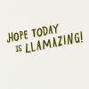 American Greetings Funny Llamas Greeting Card (Birthday, Thinking Of You, Congratulations)