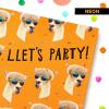 American Greetings Funny Llamas Greeting Card (Birthday, Thinking Of You, Congratulations)