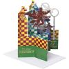 American Greetings Pop Up Harry Potter Birthday Card (Quidditch)(Accordion Quidditch)