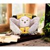 American Greetings Pop Up Harry Potter Birthday Card (Quidditch)(Hedwig)
