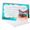 American Greetings Birthday Card for Her (Eliminates Caring)(So Does Ice Cream)