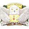American Greetings Pop Up Harry Potter Birthday Card (Quidditch)(Hedwig)