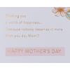 American Greetings Mothers Day Card for Mom (Nobody Deserves It More)(You Are)