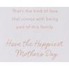 American Greetings Mothers Day Card for Mom, Stepmom, Grandma (Part of This Family)(Part of This Family)