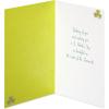 American Greetings St. Patrick’s Day Cards Pack, Good Luck (6-Count)(Map of Ireland)