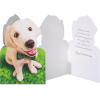 American Greetings St. Patrick’s Day Cards Pack, Good Luck (6-Count)(Shamrock and Dog)
