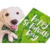 American Greetings St. Patrick’s Day Cards Pack, Good Luck (6-Count)(Shamrock and Dog)
