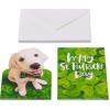 American Greetings St. Patrick’s Day Cards Pack, Good Luck (6-Count)(Shamrock and Dog)