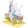 American Greetings Easter Pop Up Card (Special and Loved)(Filled with Joy)