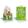 American Greetings St. Patrick’s Day Cards Pack, Good Luck (6-Count)(Shamrock and Dog)