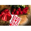 American Greetings Valentines Day Card (Make it Fun)(Red)