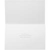 American Greetings Premium Religious Christmas Cards Boxed with Envelopes, Miracle of Christmas, Madonna and Child (14-Count)(PREMIUM BLUEGOLD NATIVITY 14CT)