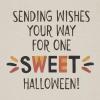 American Greetings Halloween Cards, Friendly Wish and Hope It’s Spooky (2 Designs, 8-Count)(One Sweet Halloween)