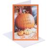 American Greetings Thanksgiving Cards, Thanks To You (6-Count)(Pumpkin Photo)