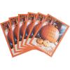 American Greetings Thanksgiving Cards, Thanks To You (6-Count)(Pumpkin Photo)