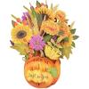 American Greetings Thanksgiving Pop Up Card (Good Food, Great Times, Wonderful People)(Love and Gratitude)
