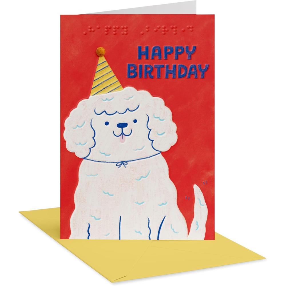 imageAmerican Greetings Braille Birthday Card How Amazing You AreBraille Birthday Dog