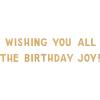 American Greetings Birthday Card For Him (Let’s Celebrate)(Birthday)