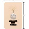 American Greetings Birthday Card for Sister In Law (Amazing Moments)(Sister In Law)