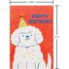 American Greetings Braille Birthday Card (How Amazing You Are)(Braille Birthday Dog)