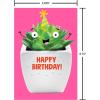 Recycled Paper Greetings 30-Count Funny All Occasion Card Assortment with Envelopes, Seals, and Storage Box by Hey Look!(Funny Birthday Card Assortment)