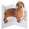 American Greetings Mothers Day Card (Happy Happy Happy)(Happy Happy Happy)