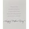 American Greetings Mothers Day Card for Daughter-in-Law (A Wonderful Mom)(Something Special)