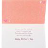 American Greetings Mothers Day Card for Grandma (As Loving as You Are Loved)(Nicest Kind of Nana)