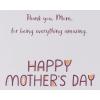 American Greetings Mothers Day Card for Mom (Appreciate You More)(Thank You for Being There)