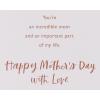 American Greetings Mothers Day Card from Son (You Mean So Much to Me)(You Mean So Much to Me)