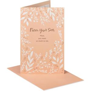 American Greetings Mothers Day Card from Son (You Mean So Much to Me)(You Mean So Much to Me)