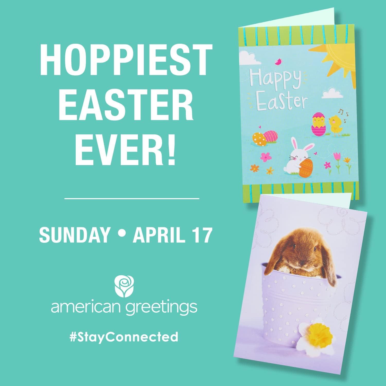 imageAmerican Greetings Easter Party Supplies Honeycomb Bunny Banner 2Count