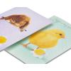 American Greetings Easter Cards for Kids with Envelopes, Bunny and Chick (6-Count)(Bunny and Chick)