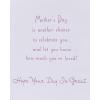 American Greetings Mothers Day Card for Aunt (Chance to Celebrate You)(Chance to Celebrate You)