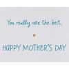 American Greetings Mothers Day Card for Aunt (Chance to Celebrate You)(Super Grateful)
