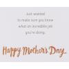 American Greetings Mothers Day Card for Sister (She’s a Great Mother)(Incredible Job)
