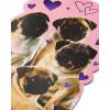 American Greetings Valentines Card for Kids (Happy Everyday)(Pugs and Kisses)
