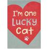 American Greetings Valentines Day Card from Cat (All Nine Lives With You)(Lucky Cat)