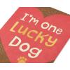 American Greetings Valentines Day Card from Cat (All Nine Lives With You)(Lucky Dog)