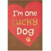 American Greetings Valentines Day Card from Cat (All Nine Lives With You)(Lucky Dog)