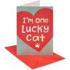 American Greetings Valentines Day Card from Cat (All Nine Lives With You)(Lucky Cat)