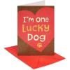 American Greetings Valentines Day Card from Cat (All Nine Lives With You)(Lucky Dog)