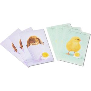 American Greetings Easter Cards for Kids with Envelopes, Bunny and Chick (6-Count)(Bunny and Chick)