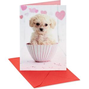 American Greetings Valentines Card for Kids (Happy Everyday)(Just Poppin’ In)