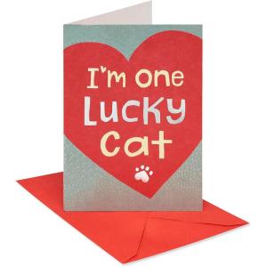 American Greetings Valentines Day Card from Cat (All Nine Lives With You)(Lucky Cat)